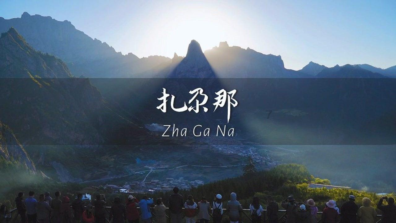 拯救毛茸茸男人